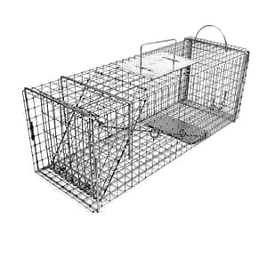 Trampa Modelo 606 – Para Gatos, Conejos y Animales de Tamaño Mediano